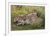 Cheetahs, Serengeti National Park, Tanzania-Art Wolfe-Framed Photographic Print