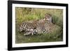 Cheetahs, Serengeti National Park, Tanzania-Art Wolfe-Framed Photographic Print