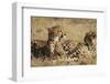 Cheetahs-Michele Westmorland-Framed Photographic Print