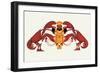 Chef and a Pair of Lobsters-Maxfield Parrish-Framed Art Print