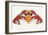 Chef and a Pair of Lobsters-Maxfield Parrish-Framed Art Print