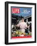 Chef Mario Batali Preparing a NASCAR Cookout at Texas Motor Speedway, May 5, 2006-Brian Finke-Framed Photographic Print