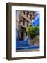 Chefchaouen, Morocco. Cat walking down steps.-Jolly Sienda-Framed Photographic Print