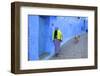 Chefchaouen, Morocco, North Africa, Africa-Neil-Framed Photographic Print