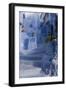 Chefchaouen, Morocco-Natalie Tepper-Framed Photo