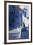 Chefchaouen, Morocco-Natalie Tepper-Framed Photo