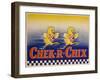 Chek-R-Chix American Feed Advertising Poster-null-Framed Giclee Print