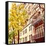 Chelsea Afternoon II-Acosta-Framed Stretched Canvas