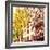 Chelsea Afternoon II-Acosta-Framed Photographic Print