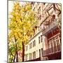 Chelsea Afternoon II-Acosta-Mounted Photographic Print