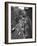 Chelsea Black and White-Christopher Bliss-Framed Giclee Print