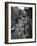 Chelsea Black and White-Chris Bliss-Framed Photographic Print