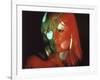 Chelsea Girls, Nico, 1966-null-Framed Photo