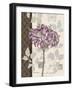 Chelsea Purple I-Pamela Gladding-Framed Art Print