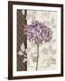 Chelsea Purple I-Pamela Gladding-Framed Art Print