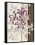 Chelsea Purple II-Pamela Gladding-Framed Stretched Canvas