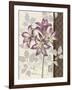 Chelsea Purple II-Pamela Gladding-Framed Art Print