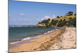 Cheltenham Beach, Devenport, Auckland, North Island, New Zealand, Pacific-Matthew Williams-Ellis-Mounted Photographic Print