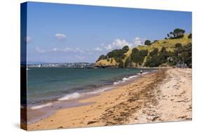 Cheltenham Beach, Devenport, Auckland, North Island, New Zealand, Pacific-Matthew Williams-Ellis-Stretched Canvas