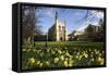 Cheltenham College, Gloucestershire-Peter Thompson-Framed Stretched Canvas