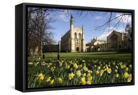 Cheltenham College, Gloucestershire-Peter Thompson-Framed Stretched Canvas