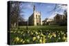Cheltenham College, Gloucestershire-Peter Thompson-Stretched Canvas