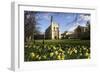 Cheltenham College, Gloucestershire-Peter Thompson-Framed Photographic Print