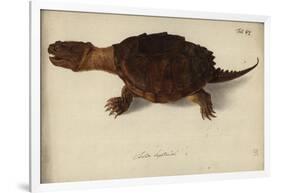 Chelydra Serpentina, before 1792-Friedrich Wilhelm Wunder-Framed Giclee Print