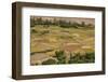 Chemde Monastery, near Karu, Corn Field around Monastery-Guido Cozzi-Framed Photographic Print