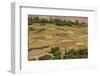 Chemde Monastery, near Karu, Corn Field around Monastery-Guido Cozzi-Framed Photographic Print