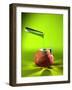 Chemical Food Additive-Christian Darkin-Framed Photographic Print