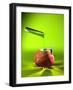 Chemical Food Additive-Christian Darkin-Framed Photographic Print