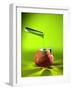 Chemical Food Additive-Christian Darkin-Framed Photographic Print