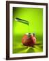 Chemical Food Additive-Christian Darkin-Framed Photographic Print