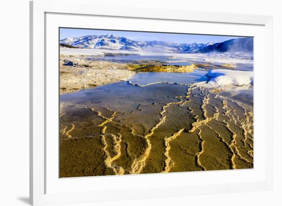 Chemical Sediments. Yellowstone National Park, Wyoming.-Tom Norring-Framed Photographic Print