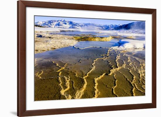 Chemical Sediments. Yellowstone National Park, Wyoming.-Tom Norring-Framed Photographic Print