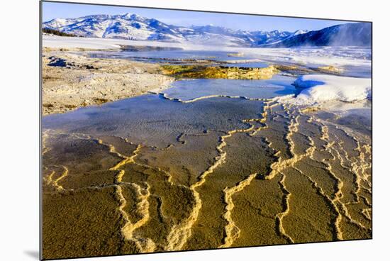 Chemical Sediments. Yellowstone National Park, Wyoming.-Tom Norring-Mounted Photographic Print