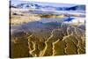 Chemical Sediments. Yellowstone National Park, Wyoming.-Tom Norring-Stretched Canvas