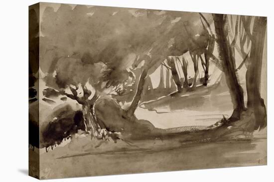 Chemin éclairé dans un sous-bois-Eugene Delacroix-Stretched Canvas