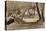 Chemin éclairé dans un sous-bois-Eugene Delacroix-Stretched Canvas