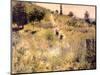 Chemin montant dans les hautes herbes-Pierre-Auguste Renoir-Mounted Giclee Print