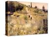 Chemin montant dans les hautes herbes-Pierre-Auguste Renoir-Stretched Canvas