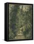 Chemin sous bois en été-Camille Pissarro-Framed Stretched Canvas