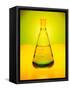Chemistry Beaker-Thom Lang-Framed Stretched Canvas