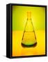 Chemistry Beaker-Thom Lang-Framed Stretched Canvas