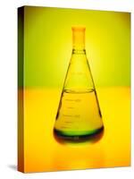 Chemistry Beaker-Thom Lang-Stretched Canvas