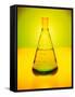 Chemistry Beaker-Thom Lang-Framed Stretched Canvas