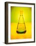 Chemistry Beaker-Thom Lang-Framed Photographic Print