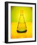 Chemistry Beaker-Thom Lang-Framed Photographic Print