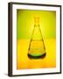 Chemistry Beaker-Thom Lang-Framed Photographic Print